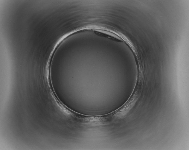 X0000116420862200912081502