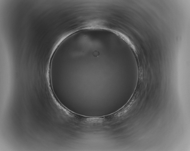 X0000116420863200912081503