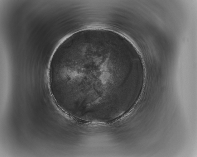 X0000116420864200912081503