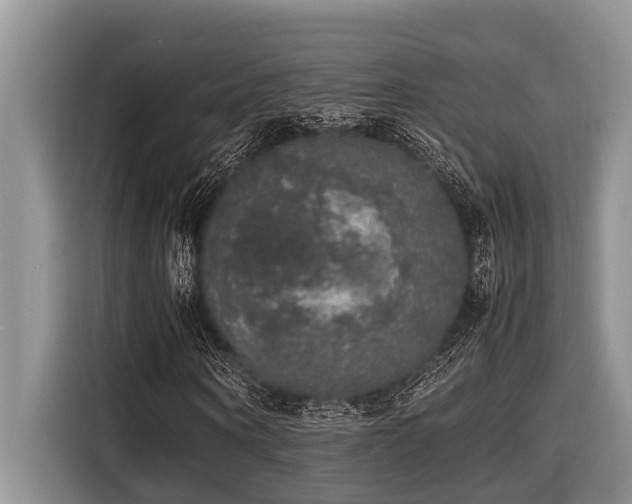 X0000116420866200912081502