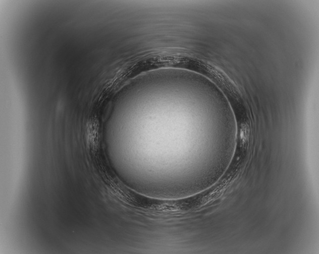 X0000116420867200912081502