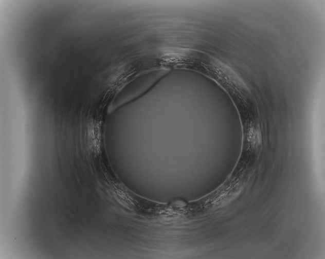 X0000116420868200912081502