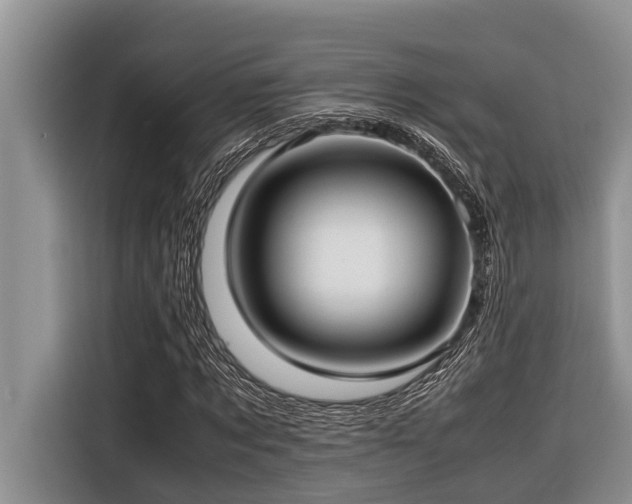 X0000116420869200912081502