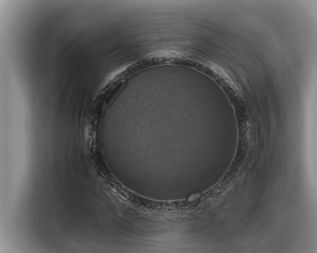 X0000116420872200912081502