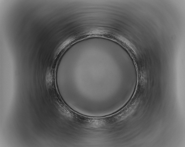 X0000116420874200912081502