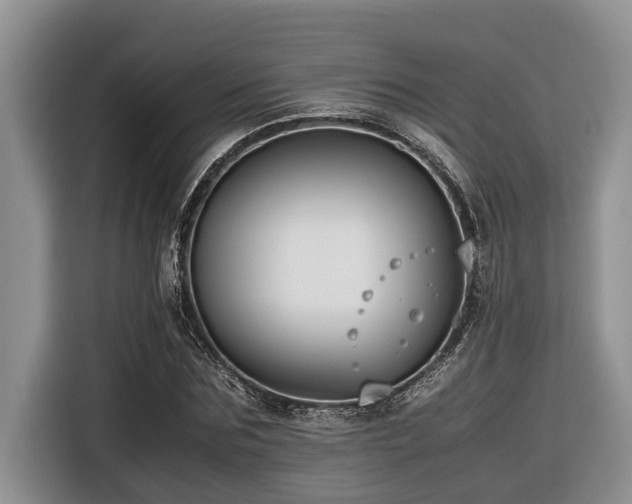 X0000116420875200912081502