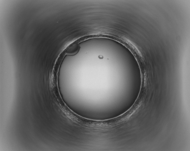 X0000116420876200912081502