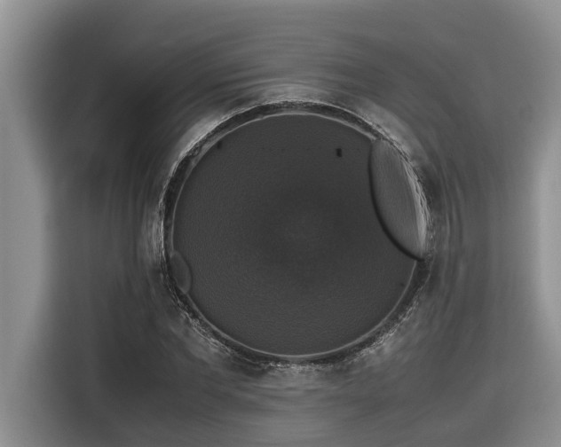 X0000116420877200912081502