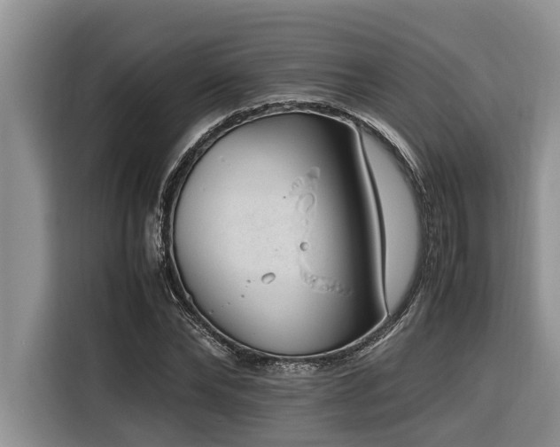 X0000116420878200912081502
