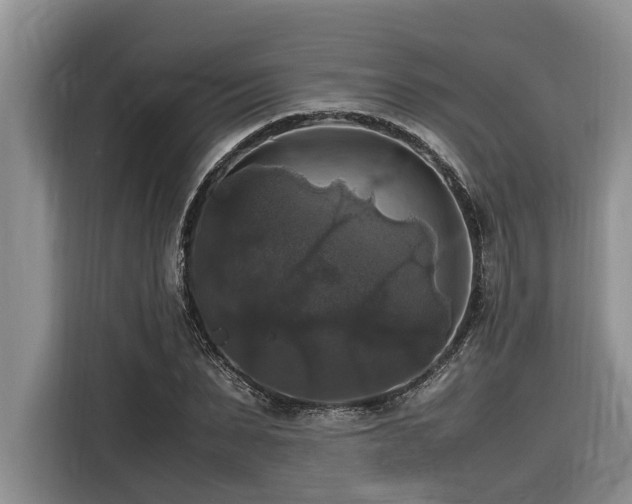 X0000116420879200912081502