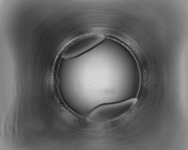 X0000116420880200912081502