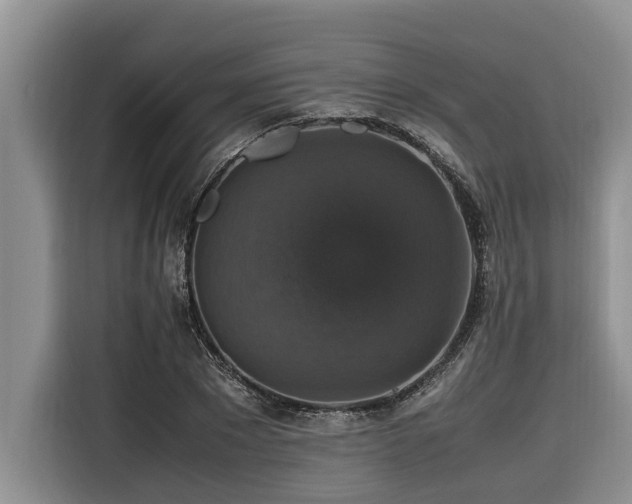 X0000116420881200912081502