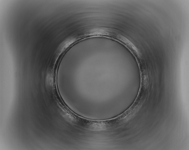 X0000116420882200912081502