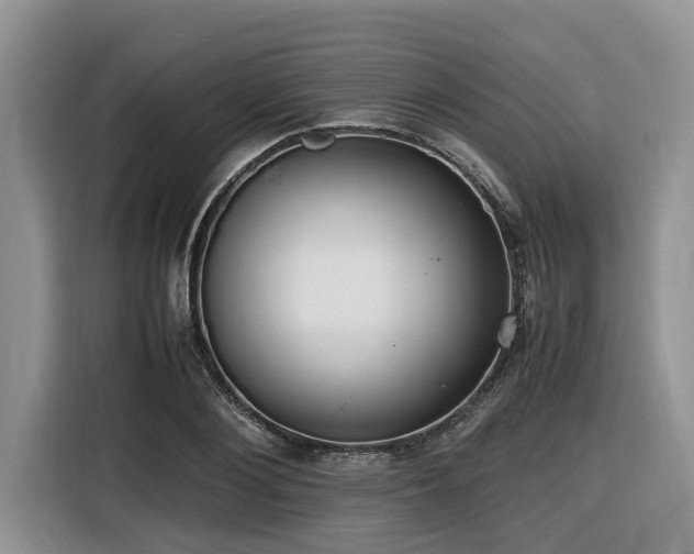 X0000116420884200912081502