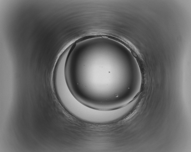 X0000116420885200912081502