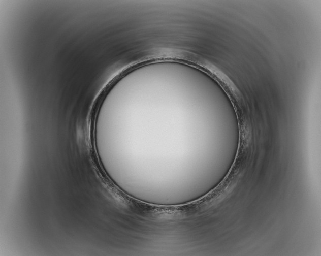 X0000116420886200912081502