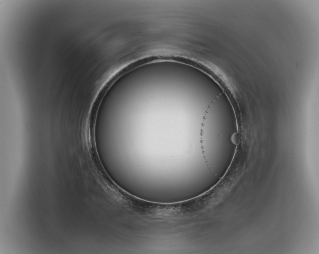 X0000116420887200912081502