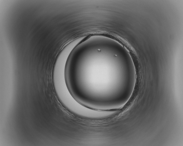 X0000116420889200912081502