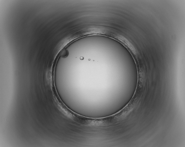 X0000116420890200912081502