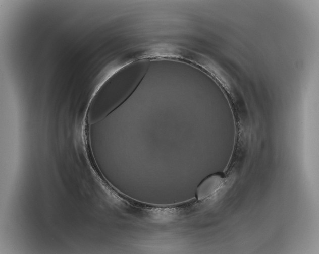 X0000116420893200912081502