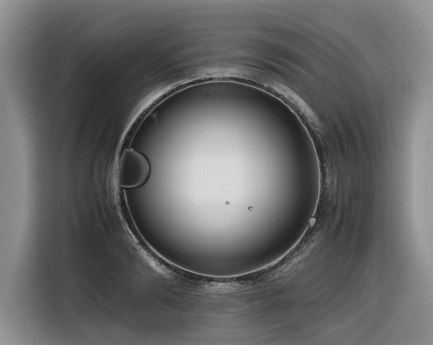 X0000116420894200912081502