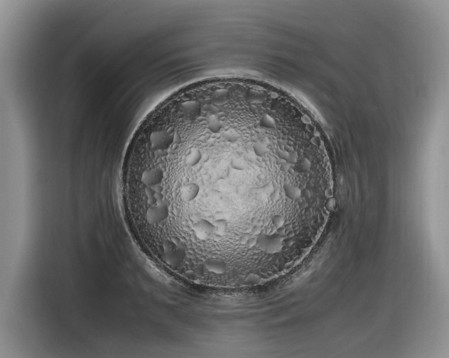X0000116420895200912081502