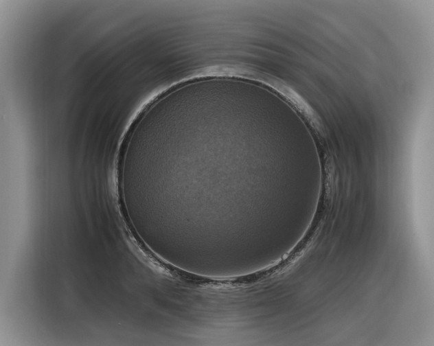 X0000116420896200912081501