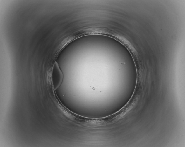 X0000116420897200912081501