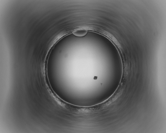 X0000116420898200912081501