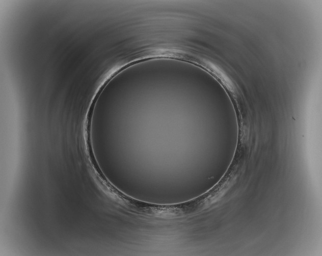 X0000116420899200912081501