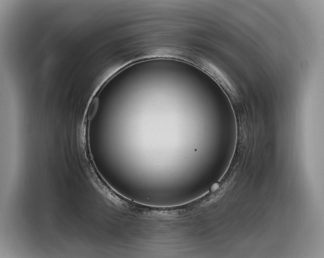 X0000116420900200912081501