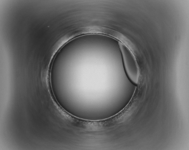 X0000116420901200912081501