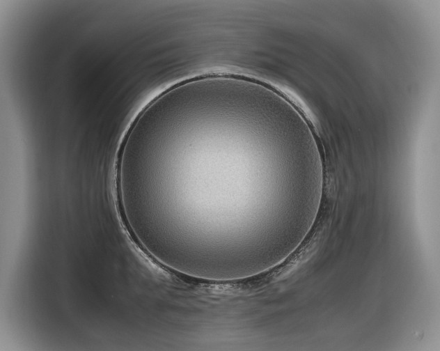 X0000116420903200912081501