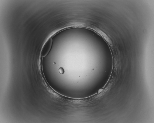X0000116420904200912081501