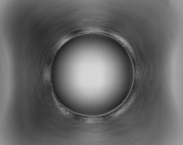 X0000116420905200912081501