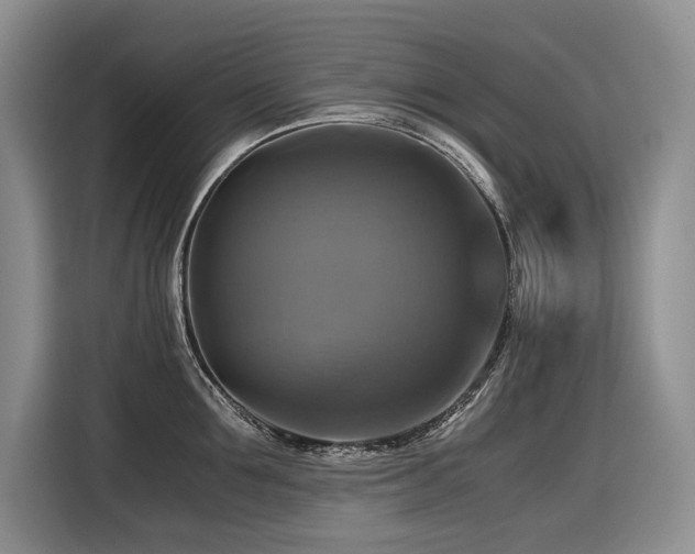 X0000116420907200912081501