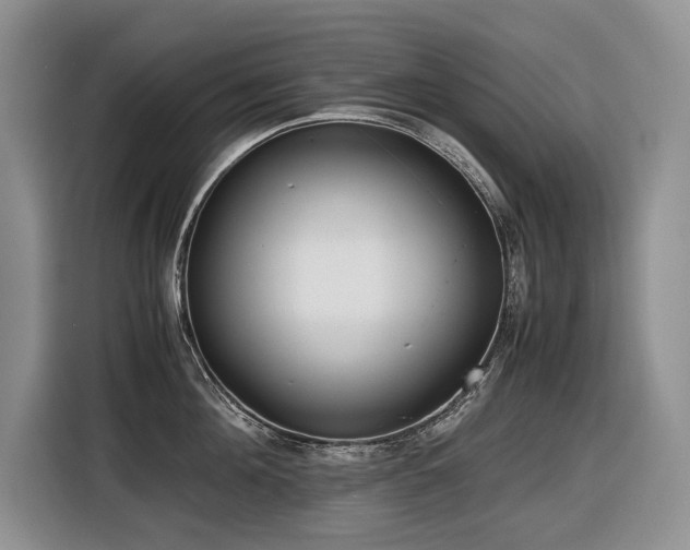 X0000116420908200912081501