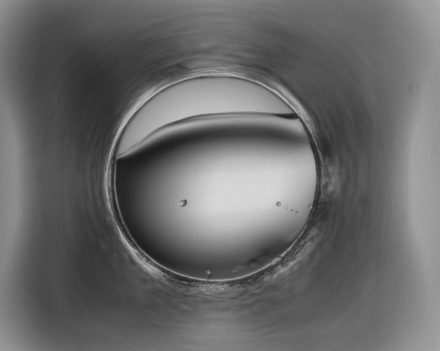 X0000116420909200912081501