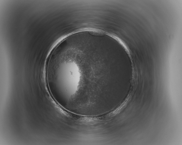X0000116420910200912081501
