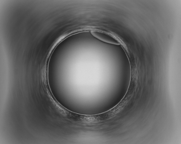 X0000116420911200912081501
