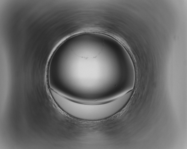 X0000116420912200912081501