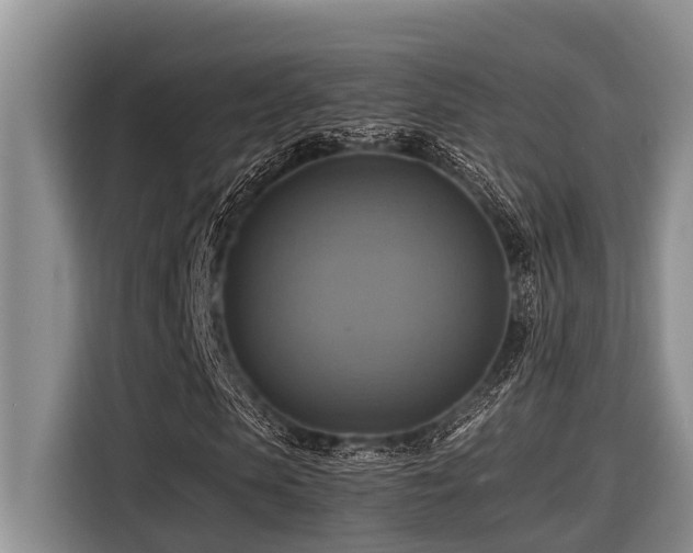 X0000116420913200912081501
