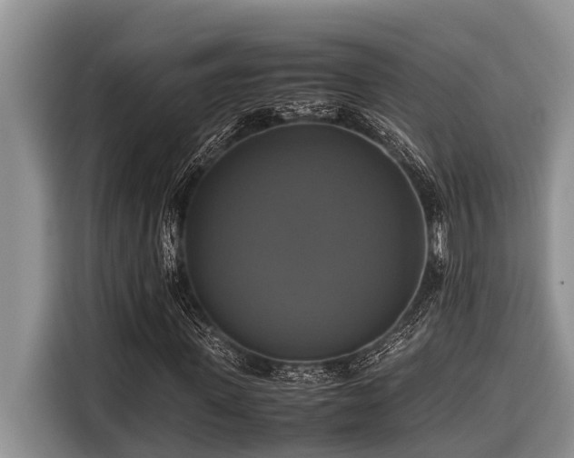 X0000116420915200912081501