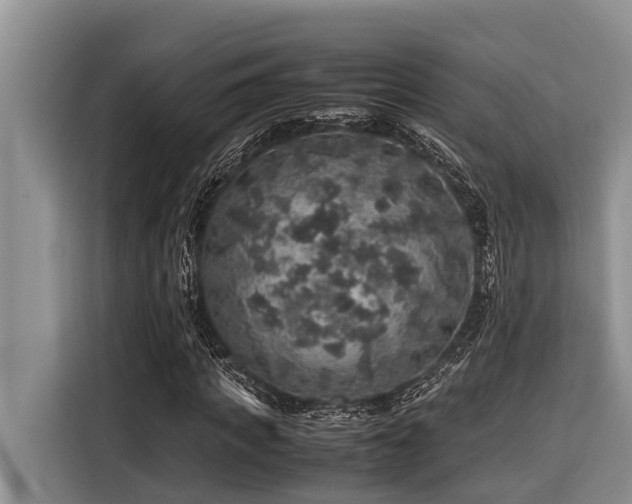 X0000116420917200912081501