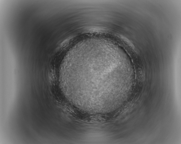X0000116420918200912081501