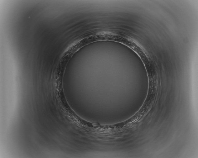 X0000116420919200912081501