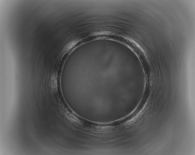 X0000116420921200912081501