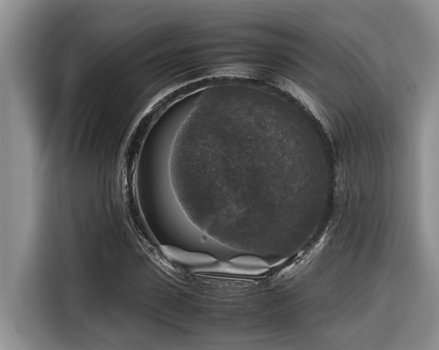 X0000116420923200912081501