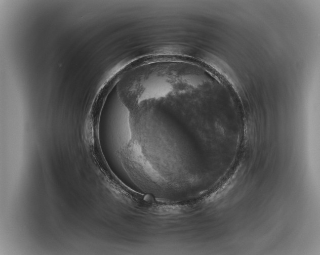 X0000116420925200912081501
