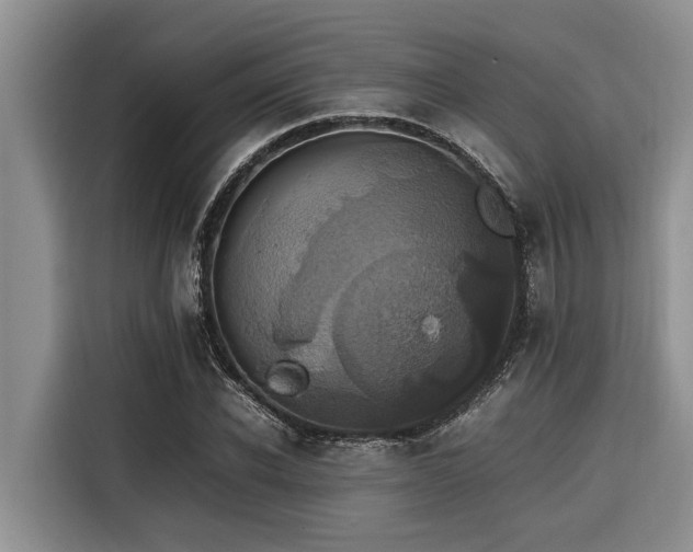 X0000116420926200912081501